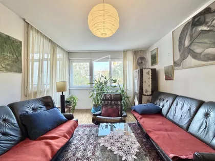 Luke Vojvodića | 4zida.rs