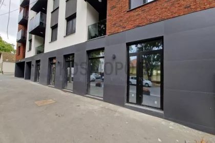 Prizrenska | 4zida.rs