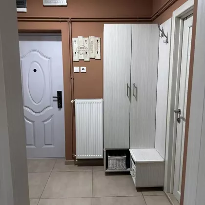 Ruže Šulman | 4zida.rs