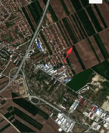Belarica