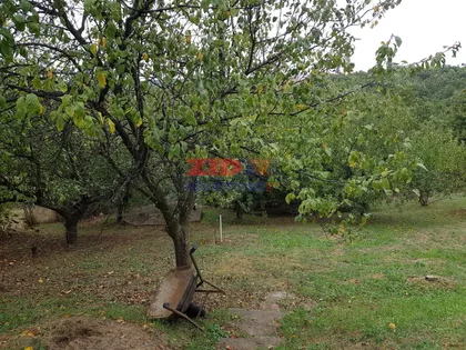 Barajevo (mesto) | 4zida.rs