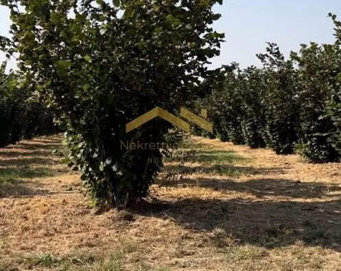 Poljoprivredno zemljište | 4zida