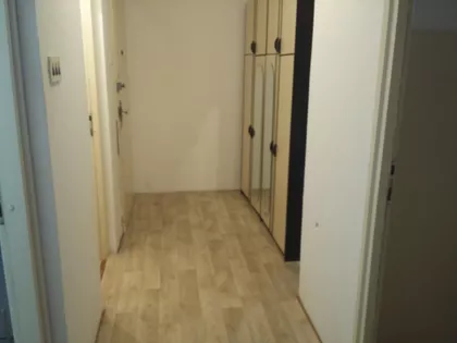 Dragoslava Srejovića | 4zida.rs