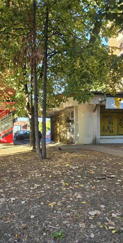 Kolonija | 4zida.rs