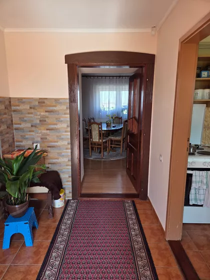 Muškatla | 4zida.rs