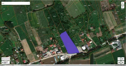 Dimitrija Sredojevića | 4zida.rs