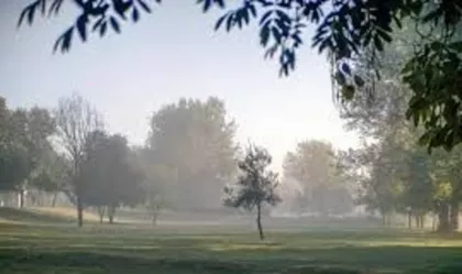 Savski Nasip | 4zida.rs