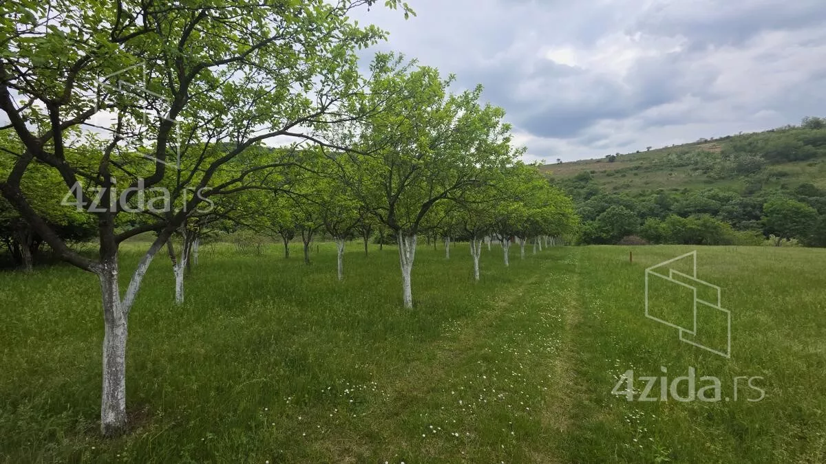 Plac | 4zida