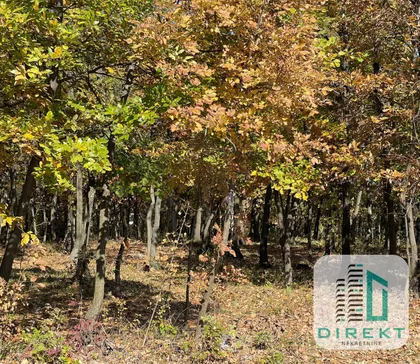 Koraćica | 4zida.rs