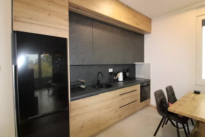 Južni Telep | 4zida.rs