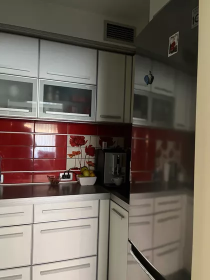 Vase Stajića | 4zida.rs