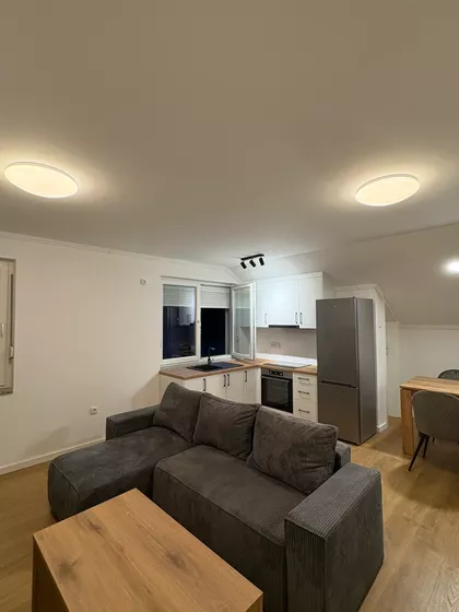 Lajoša Joa 41 | 4zida.rs