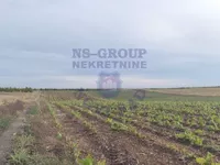 Maradik, Okolne lokacije, Inđija | 4zida.rs