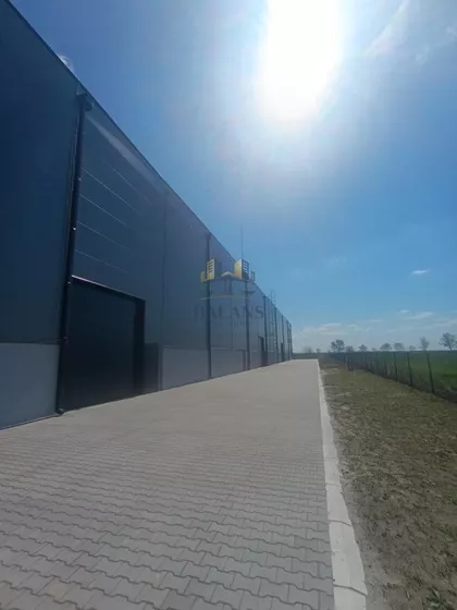 Novi Banovci | 4zida.rs