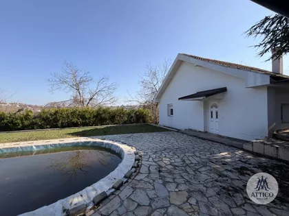 Sremska Kamenica | 4zida.rs