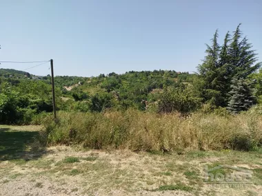 Popovica