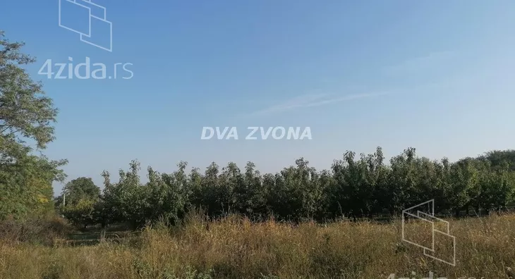 Plac | 4zida