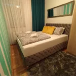 Petrovaradin, Gradske lokacije, Novi Sad | 4zida.rs | 4zida.rs