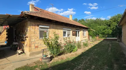 Pačir | 4zida.rs