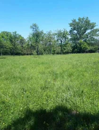 Ljube Bogosavljevića | 4zida.rs