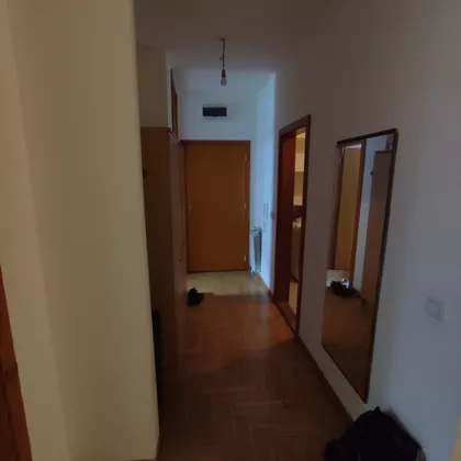 Paje Jovanovića | 4zida.rs
