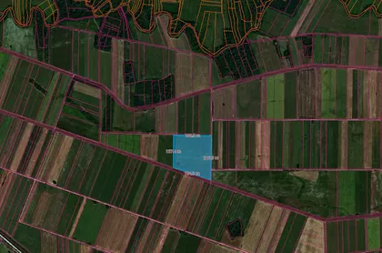 Vojvode Mišića | 4zida.rs