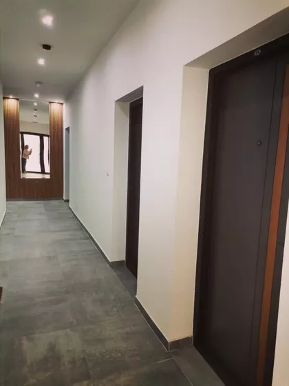 Salajka | 4zida.rs