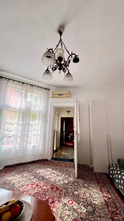 Vase Pelagića | 4zida.rs