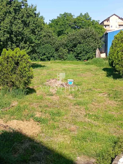 Borča | 4zida.rs