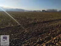 Plac | 4zida
