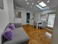 Novi Sad - Centar, Stari Grad, Gradske lokacije, Novi Sad | 4zida.rs | 4zida.rs