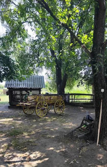 Zrenjaninski Put | 4zida.rs