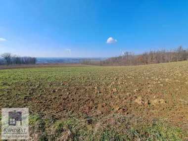 Mislođin
