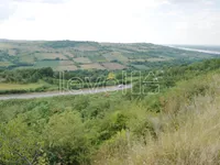 Banstol - Vikend Naselje, Okolne lokacije, Inđija | 4zida.rs
