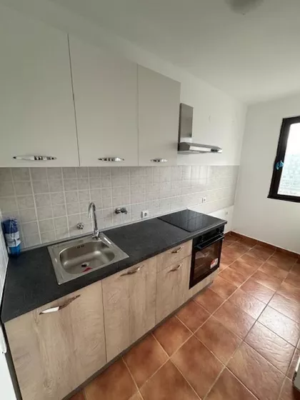 Dr Ivana Ribara | 4zida.rs