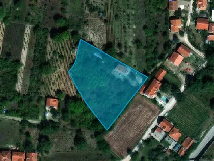 Pantelej | 4zida.rs