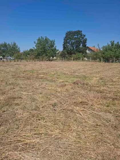 Dunavska | 4zida.rs