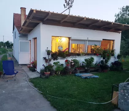 Bavaništanski put | 4zida.rs