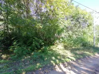 Srpski Šor, Zorka, Gradske lokacije, Subotica | 4zida.rs