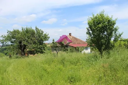 Ustanička | 4zida.rs