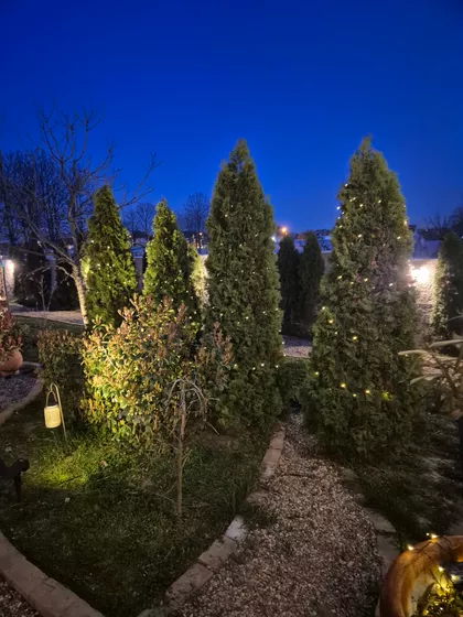 Dobanovci | 4zida.rs