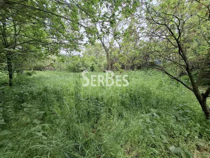 Čerević | 4zida.rs