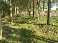 Misa, Gradske lokacije, Pančevo | 4zida.rs