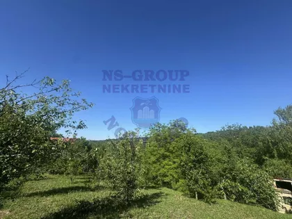 Sremska Kamenica | 4zida.rs
