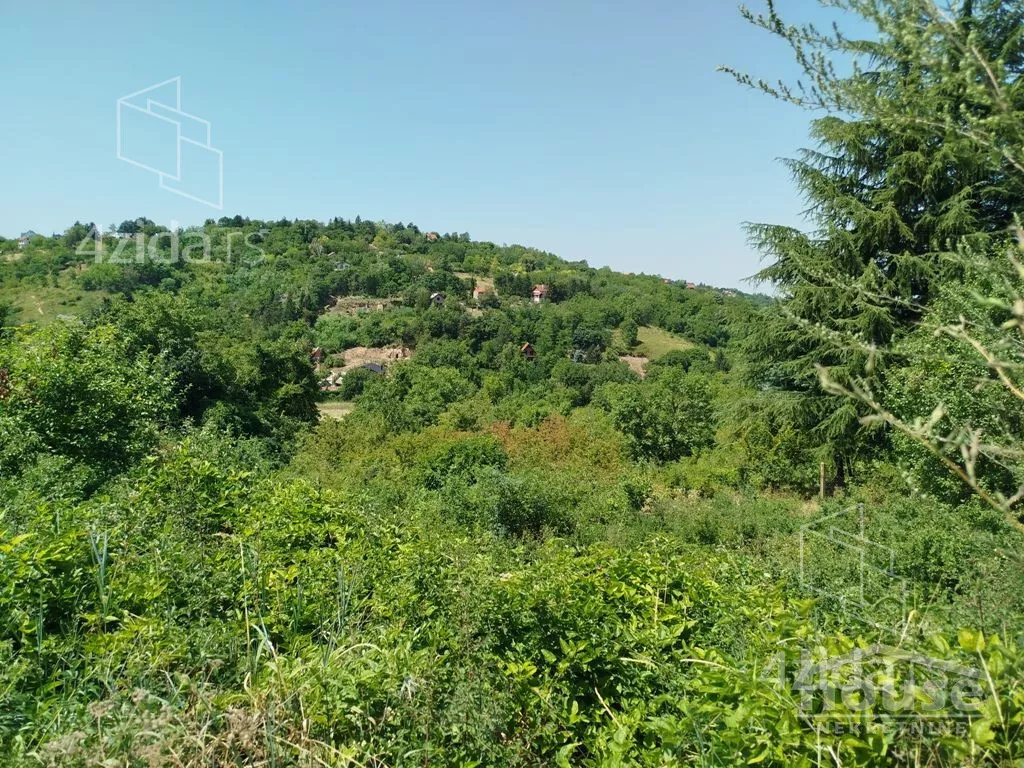 Plac | 4zida