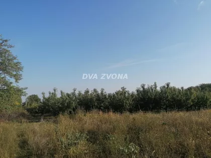 Krčedin | 4zida.rs