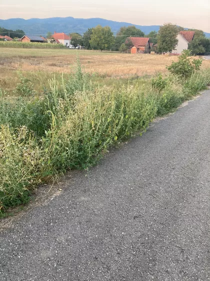 Okolne lokacije | 4zida.rs
