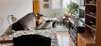 Bulevar Evrope, Gradske lokacije, Novi Sad | 4zida.rs | 4zida.rs
