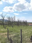 Plac | 4zida