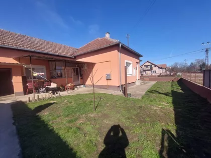 Vojvođanska | 4zida.rs